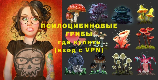 МДПВ Алзамай